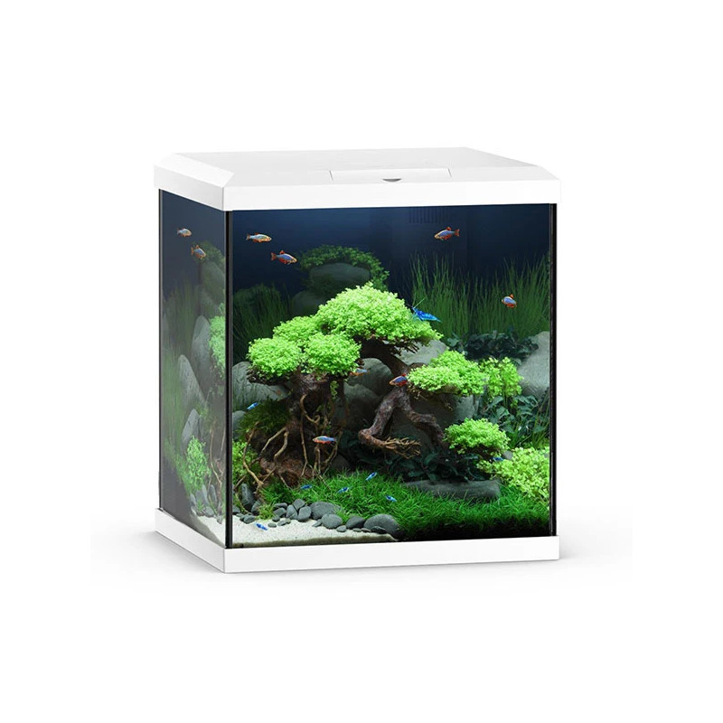 Aquarium Vio Cube 80 blanc JUWEL