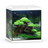 Aquarium Vio Cube 80 blanc JUWEL