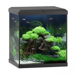 Aquarium Vio Cube 80 noir JUWEL