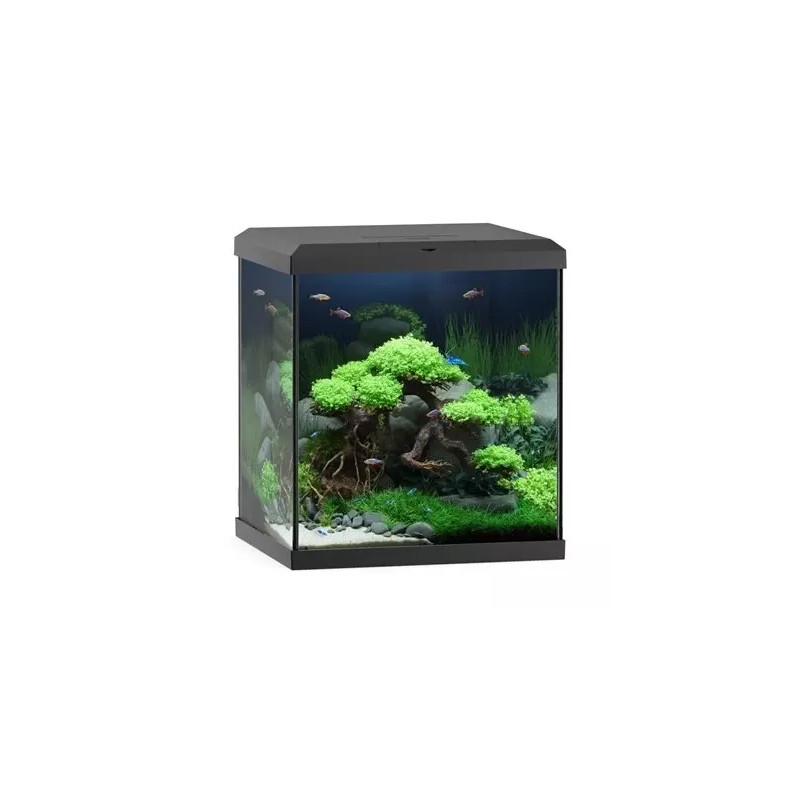 Aquarium Vio Cube 80 noir JUWEL