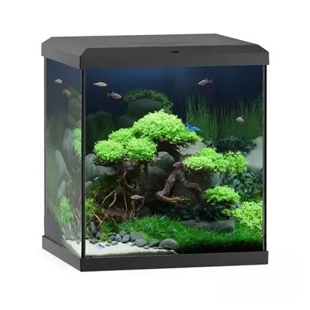 Aquarium Vio Cube 80 noir JUWEL