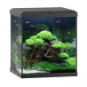 Aquarium Vio Cube 80 noir JUWEL