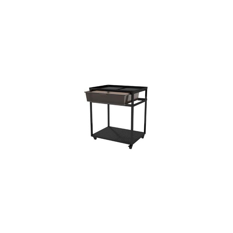 Table avec roulettes + bac de rangement 62.1x46.8x70cm REPTIZOO Table avec roulettes + bac de rangement 62.1x46.8x70cm REPTIZOO