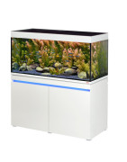 Aquariums en Verre : Cuves Nues & Aquariums Équipés