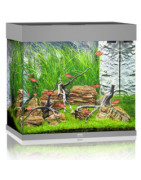 AQUARIUMS EQUIPES
