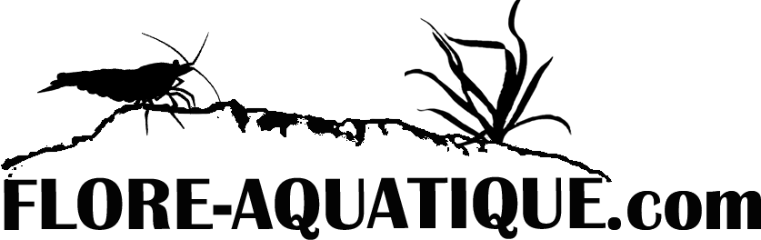 Flore-Aquatique